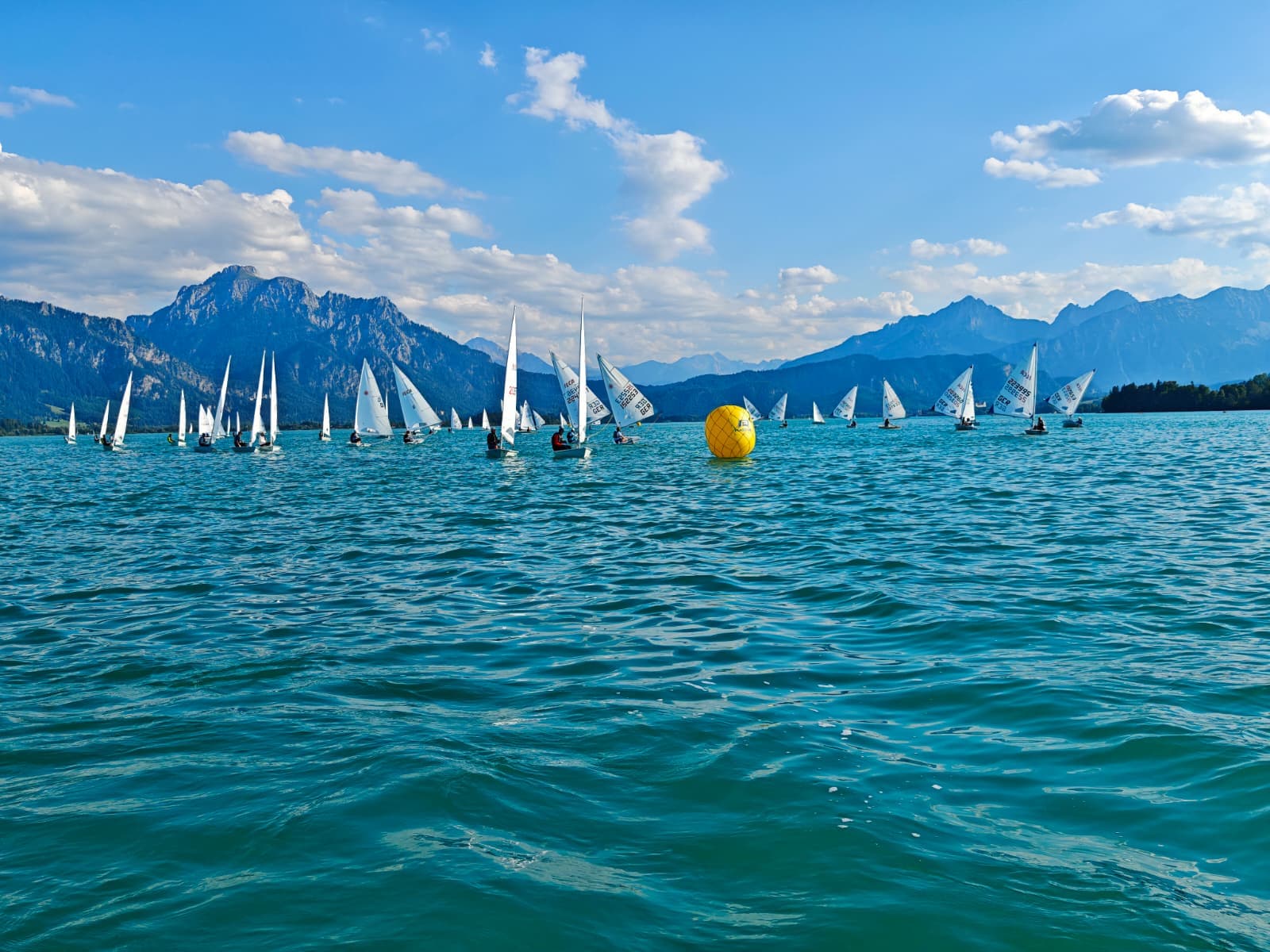 Segler bei einer Regatta auf dem Forggensee